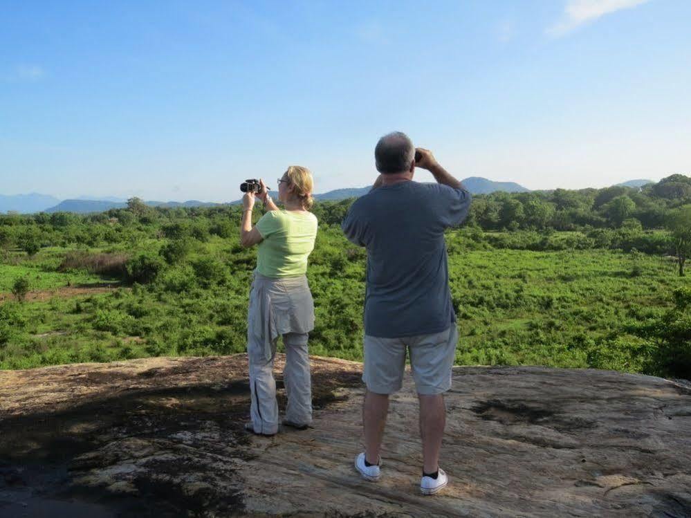 Mahoora Tented Safari Camp Udawalawe Eksteriør billede